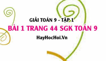 Giải bài 1 trang 44 SGK Toán 9 tập 1